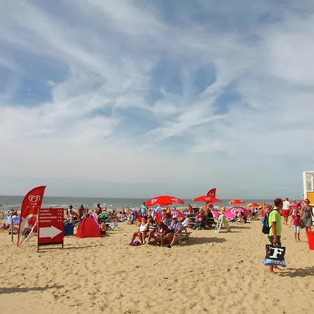 Tatil Evi Holiday Noorderzon Egmond aan Zee